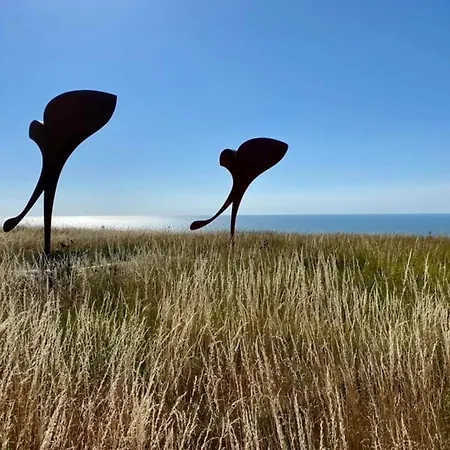 à 50m Rêves Ensoleillés Les Bains De *