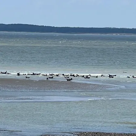 à 50m Rêves Ensoleillés Les Bains De Apartamento Mers-les-Bains