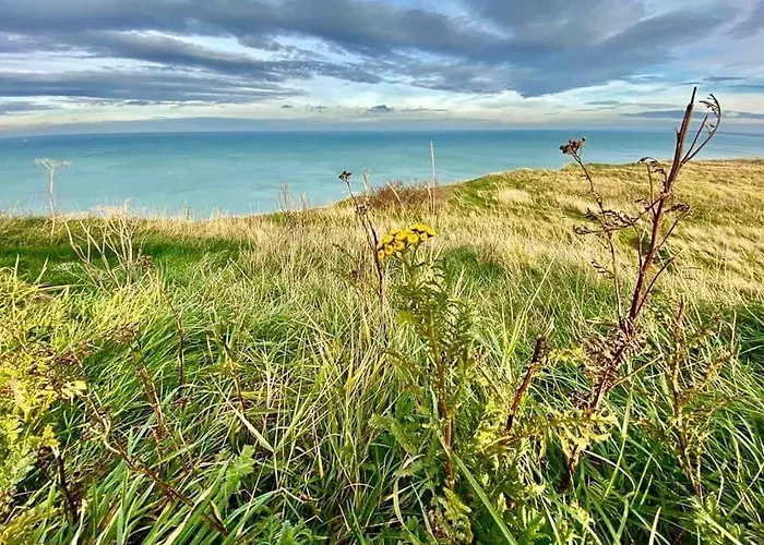 à 50m Rêves Ensoleillés Les Bains De Mers-les-Bains