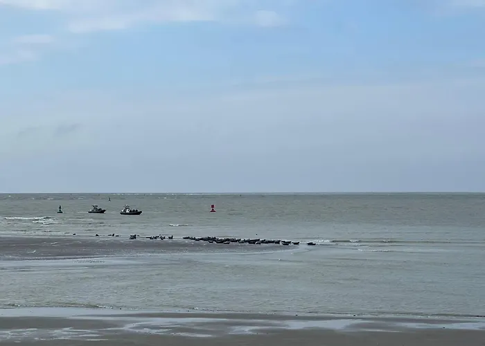 à 50m Rêves Ensoleillés Les Bains De Appartement Mers-les-Bains