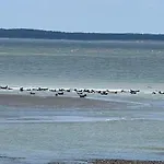 A 50m Reves Ensoleilles Les Bains De Lejlighed Mers-les-Bains