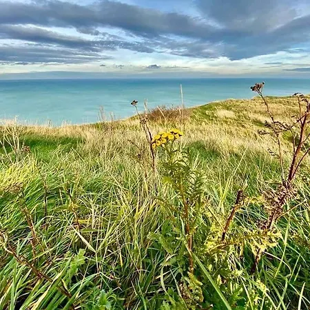 à 50m Rêves Ensoleillés Les Bains De Mers-les-Bains